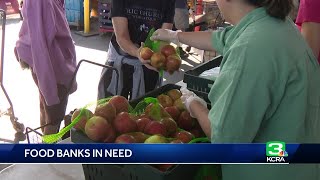 Volunteering declines as California food banks face high demand [upl. by Brahear676]