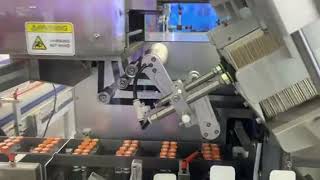 LEBAL Vials Packaging line  Labeling VVM Cartoning sample video [upl. by Llehcal1]