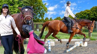 BABY HORSE TRAINING amp POLEWORK CHALLENGE BUSY BARN VLOG [upl. by Kristen]