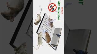 Very Useful Projects at Every Home Electric Mouse Trap shorts [upl. by Furr113]