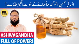 Ashwagandha Ke Fayde Ashwagandha Benefits For Men amp Women  Asgand  UrduHindi [upl. by Eedebez360]