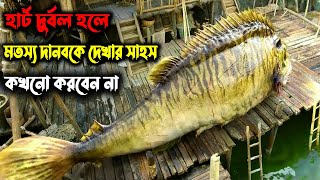 Journey to the West 2013 পুরো সিনেমা বাংলায়  Movie Explained in Bangla [upl. by Attiuqahs475]