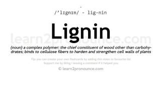 Pronunciation of Lignin  Definition of Lignin [upl. by Boonie]