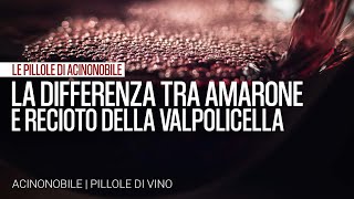 La differenza tra Amarone e Recioto della Valpolicella [upl. by Enerol]