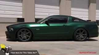 Tahitian Green DYC Mustang  Color Showcase [upl. by Eniamert]