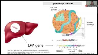 Lipoproteina An ASCVD Risk Factor That Can No Longer Be Ignored [upl. by Atteragram578]