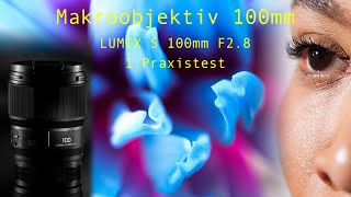 PRAXISTEST  Lumix Makroobjektiv 100mm F28  MAKROFOTOGRAFIE [upl. by Liauqram829]