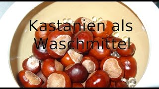 Kastanien als Waschmittel [upl. by Fairlie514]