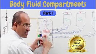 Body Fluid Compartments  IV Fluids  Types amp Uses Part 1🩺 [upl. by Rasec]