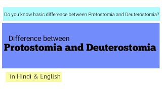 Protostomia and Deuterostomia Basic differences [upl. by Lewendal58]