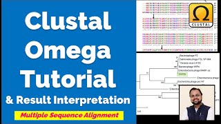 Beginners Guide to Clustal Omega  Multiple Sequence Alignment [upl. by Eltsyrk]