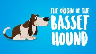 The Origin of the Basset Hound Animation [upl. by Dincolo]