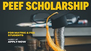 PEEF Scholarship Program 2024PEEF Scholarship 2024 PEEF Special Quota Based Scholarship [upl. by Wilkey626]