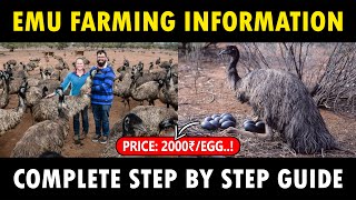 Emu Bird Farming  How to start Emu Farming Business [upl. by Tade]