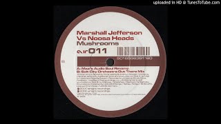 Marshall Jefferson vs Noosa Heads ‎ Mushrooms Mazi Audio Soul Revamp [upl. by Warfourd]