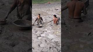 Amazing village woman catching huge catfish by hand in deep Mudd fishing catfish fish shorts [upl. by Hallutama]