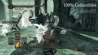 Dark Souls 2  BOSS  Le ChevalierMiroir  The Looking Glass Knight  100 Collectibles  Guide [upl. by Neeven]