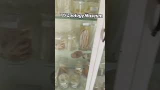 zoology at PU lifeofauniversitystudent universityofthepunjab spouse entertainment [upl. by Tima]