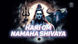 Hari om namaha shivaya  Shiva mantra [upl. by Niboc351]