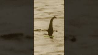 Loch Ness Monster │ Occult Legends [upl. by Ssegrub]