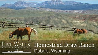 SOLD Homestead Draw Ranch  Dubois Wyoming Ranches for Sale [upl. by Dauf811]