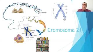 SÍNDROME DE DOWN  TRISOMÍA 21  MOSAICOMOSAIQUISMO  LIBRE  TRASLOCACIÓN [upl. by Bergstrom]