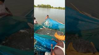 how fishing net work animation net fishing in river [upl. by Roach]