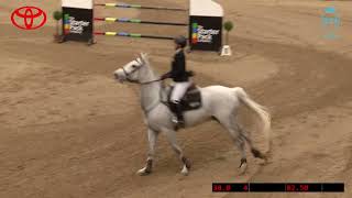 20240812 Hannah Garton Equine Performance Products Will [upl. by Llevrac]