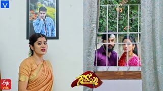 Gowramma Serial Promo  29th November 2021  Gowramma Telugu Serial  Mallemalatv [upl. by Careaga]