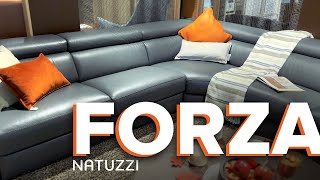 CONTEMPORARY Sofa  NATUZZI Forza  INTERIOR Design  MODERN Furniture Sacramento California [upl. by Attolrahc]