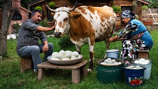 Fresh Adana Cheese from Cows Milk A Village Tradition 🐄🍃 [upl. by Blainey]