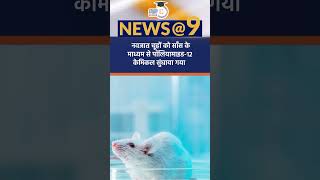 Microplastics in Lungs Hearts and brains of Newborns  Amrit Upadhyay  StudyIQ IAS Hindi [upl. by Lebasy969]