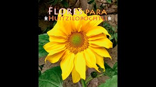 quotFlores para Huitzilopochtliquot en el Templo Mayor [upl. by Mccomb]