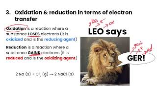 Redox Reactions  Electrochemistry [upl. by Narret]