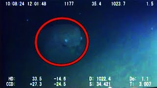 12 Mysterious Underwater Creatures Caught on Tape [upl. by Elletnahs]