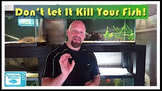 How to Lower Nitrites in an Aquarium [upl. by Bacchus]