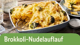 Brokkoli Nudelauflauf  REWE Deine Küche [upl. by Nyahs]