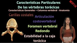 🦴 Características particulares de las vertebras tóracicas  Columna Vertebral  Anatomía [upl. by Isabel]