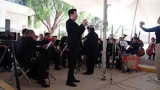 Concierto para trompeta Joseph Haydn 1er mov [upl. by Aizat364]