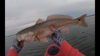 Fly Fishing Hog Island  Aransas Pass Texas [upl. by Eerahc499]