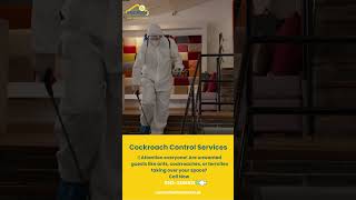 quotUltimate Guide to Fumigation Effective Pest Controlquot [upl. by Granger]