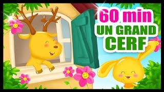 Dans sa maison un grand cerf  60 Min de comptines sur les animaux  Titounis [upl. by Arakaj]