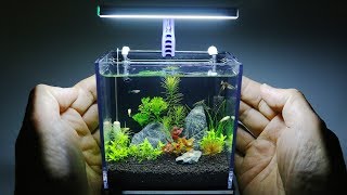 The Worlds Smallest Plant Aquarium 1 [upl. by Eylsel]