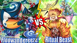 Floowandereeze vs Ritual Beast  High Rated DB YuGiOh  Dueling Book [upl. by Robison]