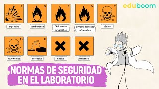 Normas de seguridad en el laboratorio │ Física y Química 2° ESO [upl. by Ylyl]