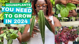 10 Unique Houseplants you NEED to grow in 2024 New plant haul [upl. by Gravante231]