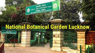 National Botanical Garden Lucknow in hindi  History  View explained in Hindi amp English both 🤗 [upl. by Glaser]