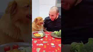 I am haha 🐕🤣pet funny dog fypシ foryou asmr shortvideo shorts [upl. by Roee]