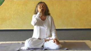 Anuloma and Pratiloma Viloma Variations  Yoga Breathing Exercises [upl. by Einnoj]