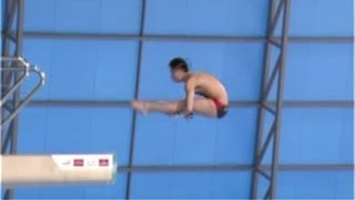 FINA Diving London 2014  10m ALL Day3 [upl. by Gnort285]